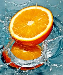 Orange Fruit On Water paint by numbers