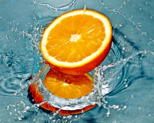 Orange Fruit On Water paint by numbers