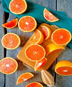 Orange Citrus Photography paint by numbers