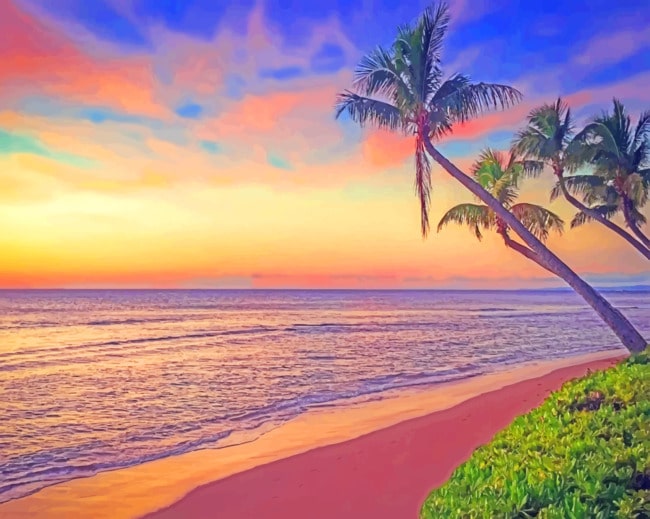 Palms Sea Sunset paint by numbers