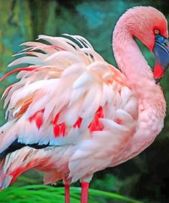 Pink Flamingo paint by numbers