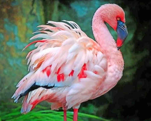 Pink Flamingo paint by numbers