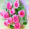 Pink Roses Bouquet paint by numbers