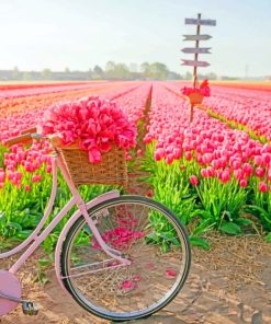 Pink Tulips Bike paint by numbers