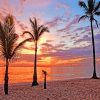 Punta Cana Palms paint by numbers