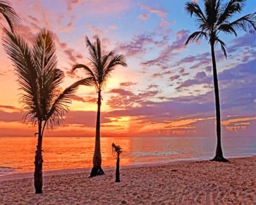 Punta Cana Palms paint by numbers
