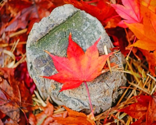 Red Autumn Leaf paint by numbers