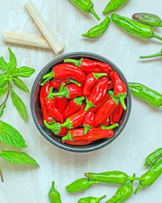 Red And Green Pepper paint by numbers