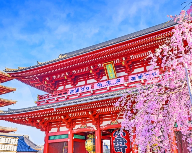 Senso Ji paint By Number