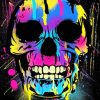 Splash Skull Art paint by numbers