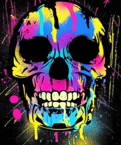 Splash Skull Art paint by numbers