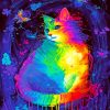 Splatter Rainbow Cat paint by numbers