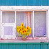 Sunflowers In Window paint by numbers