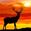 Sunset Deer Silhouette paint by numbers