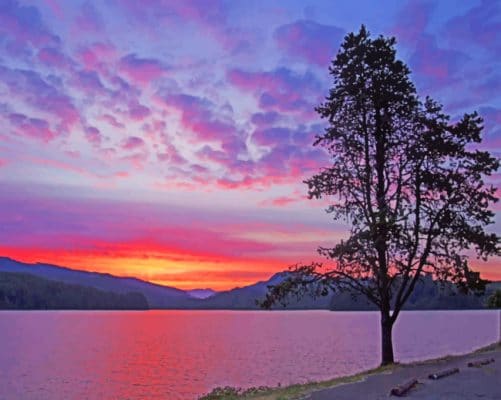 Sunset Tree Lake paint by numbers