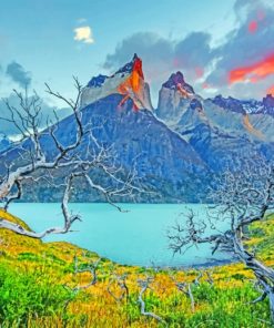 Torres Del Paine National Park paint by numbers