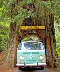 VW Through Chandelier Tree paint by numbers