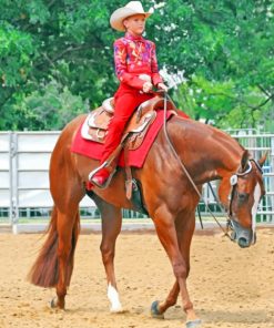 Western Girl On Horse paint by numbers