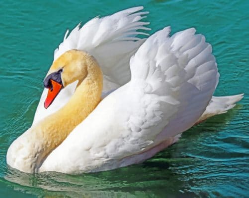 White Swan On Water paint by numbers