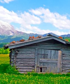 Wooden Cabin In Nature paint by numbers