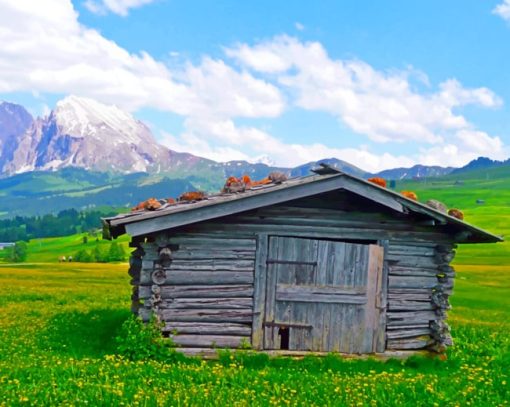 Wooden Cabin In Nature paint by numbers