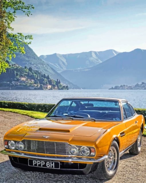 Aston Martin Dbs Roger paint by numbers