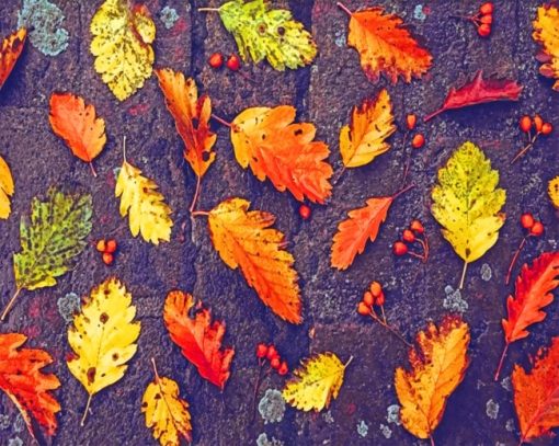 Autumn Leaves paint by numbers