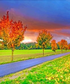 Autumn Field Road paint by numbers