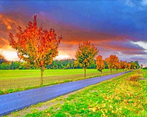 Autumn Field Road paint by numbers