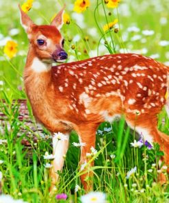 Baby Deer paint by numbers