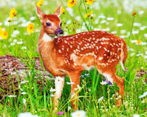 Baby Deer paint by numbers