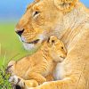 Baby Lion And Mother paint by numbers