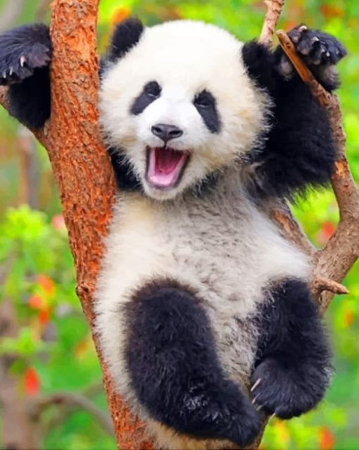 Panda Bear paint by numbers