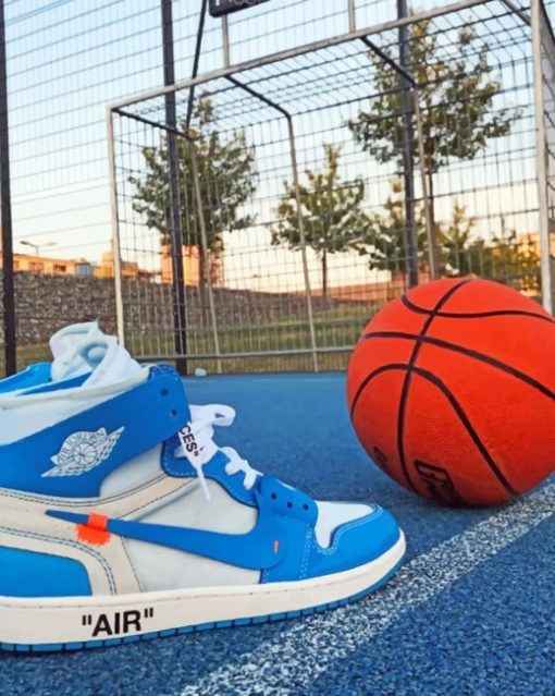 Nike Sneaker And Basket ball paint By Numbers