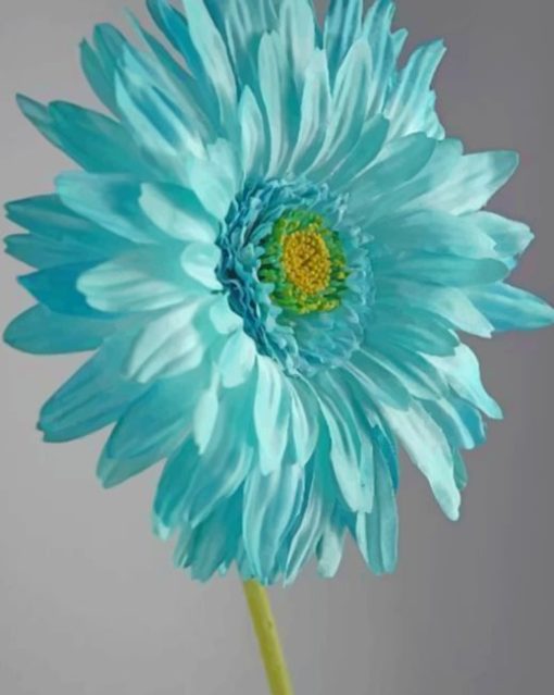 Beautiful Aqua Blue Flower paint By Numbers