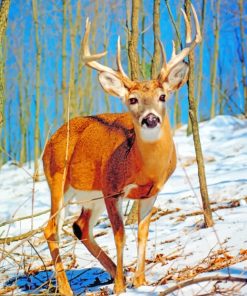 Beautiful Deer paint by numbers