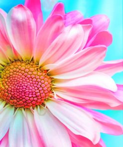 Close Up Pink Flower paint by numbers