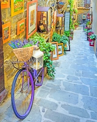 Beautiful Street paint By Numbers