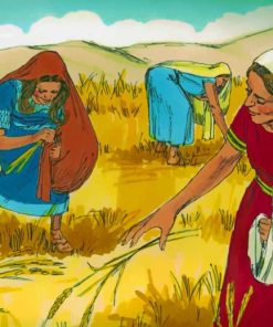 Bible Story Ruth paint by numbers