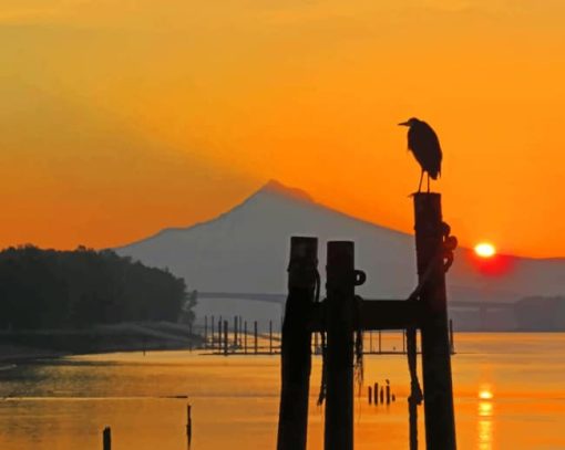 Bird In Sunset paint by numbers