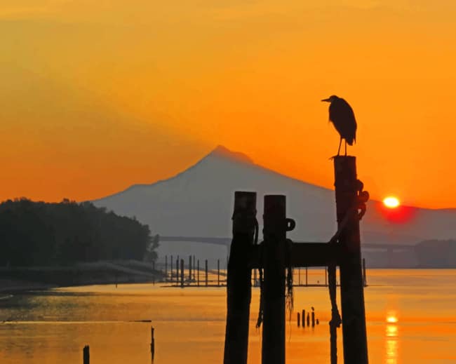 Bird In Sunset paint by numbers
