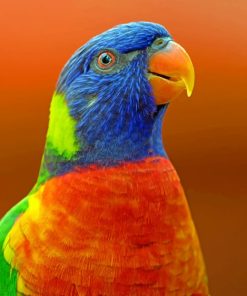 Blue And Orange Parrot paint By Numbers