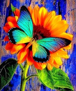 Blue Butterfly On Sunflower paint by numbers