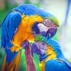 Blue Macaw Popugai Pticy paint by numbers