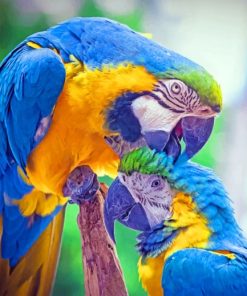 Blue Macaw Popugai Pticy paint by numbers