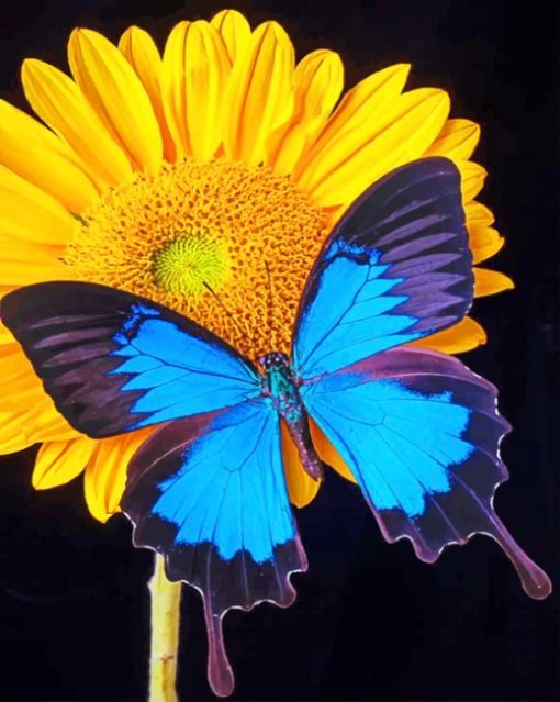 Blue Morpho Sun Flower paint by numbers