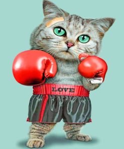 Boxing Cat paint by numbers