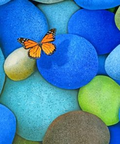 Butterfly On Rocks paint by numbers