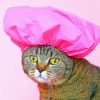 Cat Wearing A Shower Cap paint By Numbers