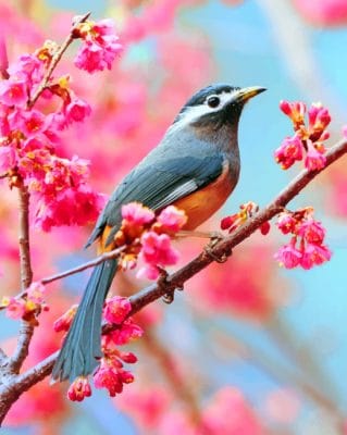 Sakura Tree With Bird paint by numbers